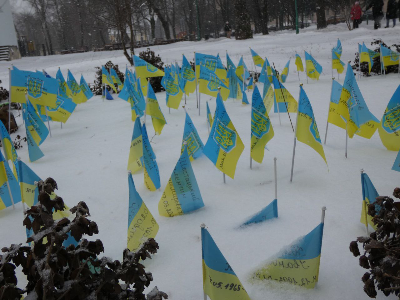 640129605 2237739313422943 6156854808375494877 n