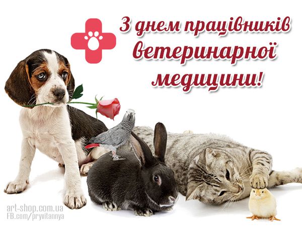 Зі святом